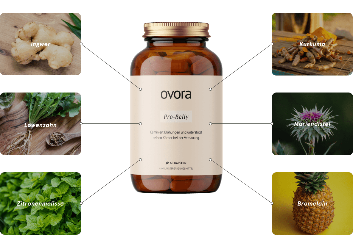 ingredients-image