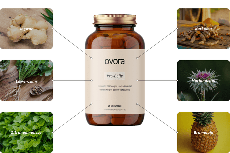 ingredients-image